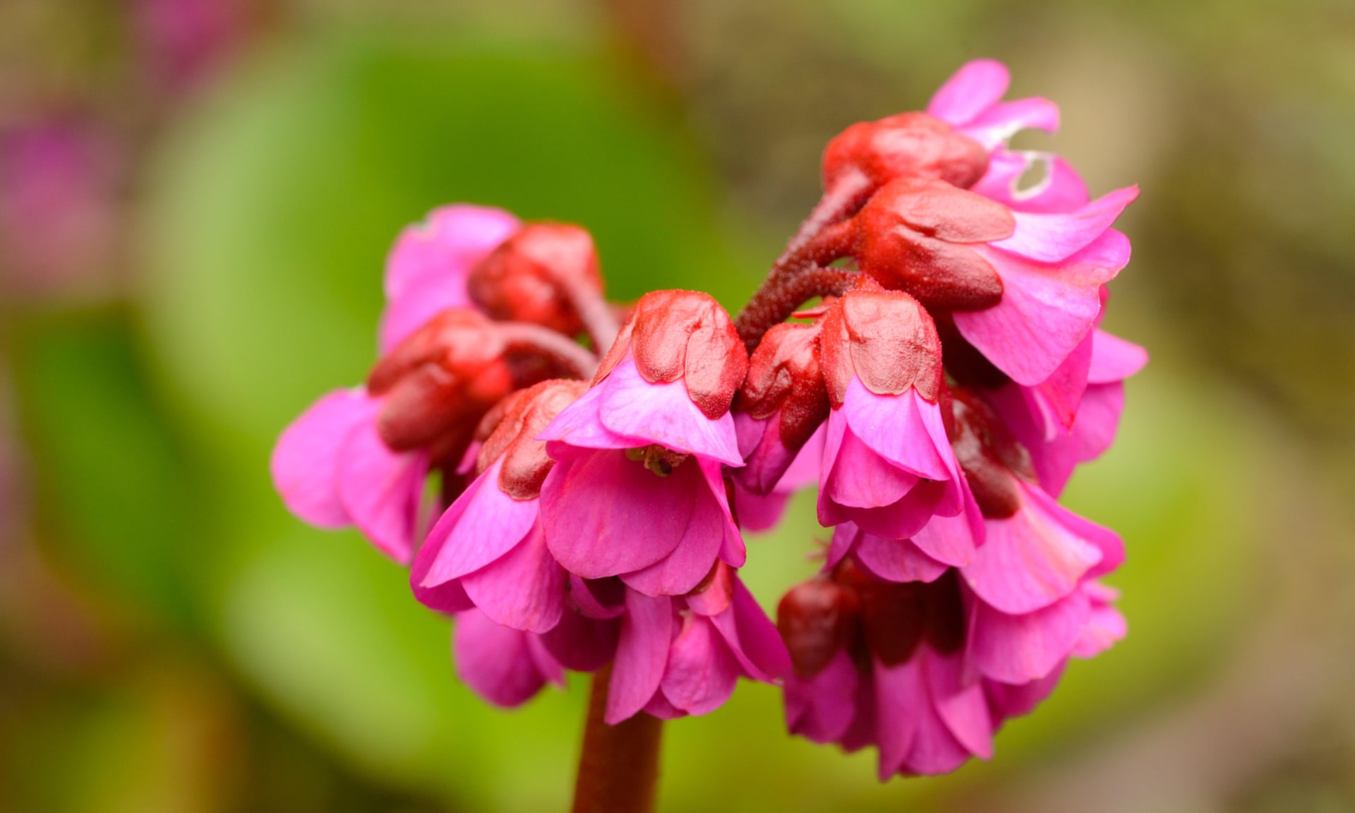 4912 (1)
