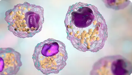 Exosome-Based Strategies for Cancer Treatment